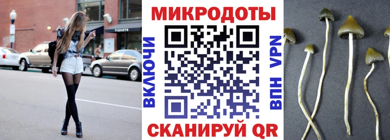 blacksprut ссылки  Ветлуга  Псилоцибиновые грибы GOLDEN TEACHER 
